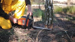 Best Emergency Tree Removal  in Lake Caroline, VA