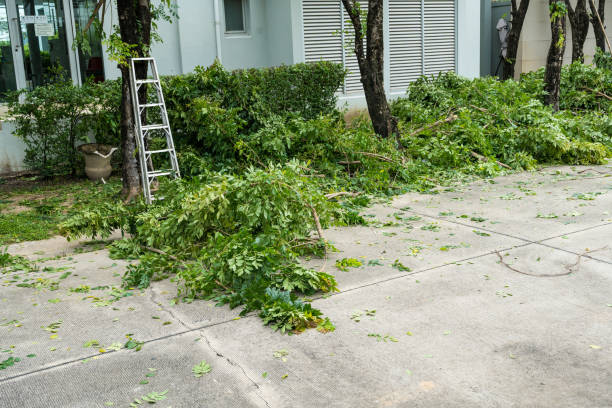 Best Utility Line Clearance  in Lake Caroline, VA